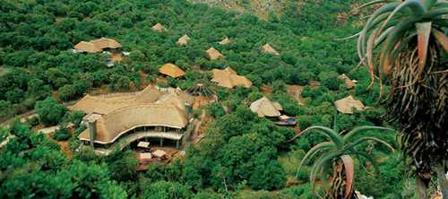 A Visit to Shamwari Game Reserve