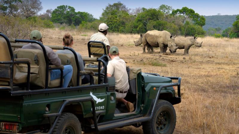 A safari at private Phinda Game Reserve in KwaZulu-Natal in South Africa