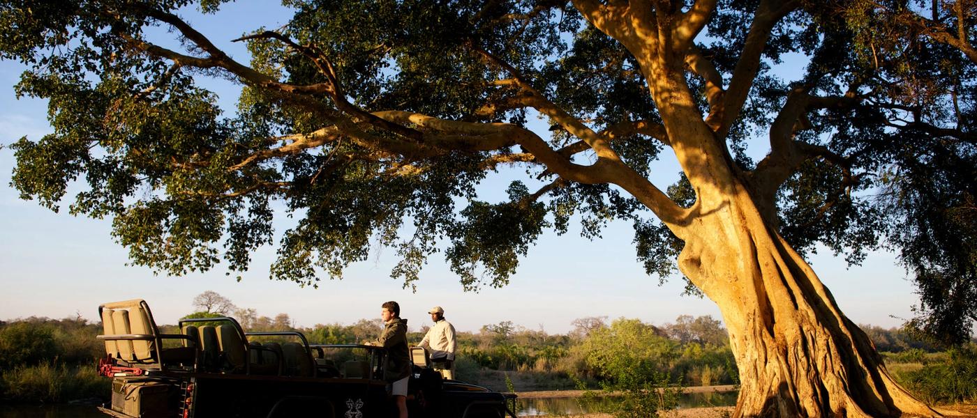 Un día de safari en una de las mejores reservas privadas del Kruger