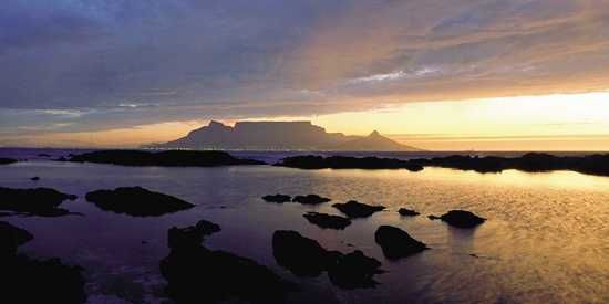Win With Rhino Africa