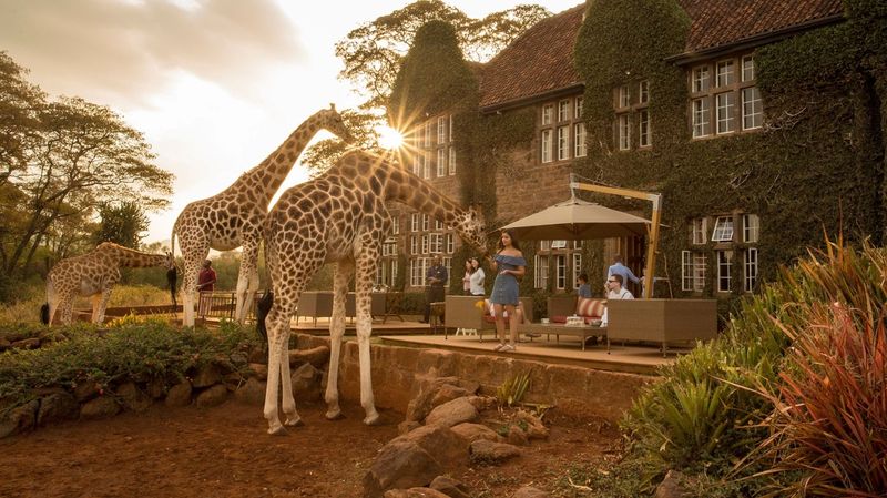 Das Giraffe Manor in Kenia - nur in Afrika können Sie mit Giraffen frühstücken