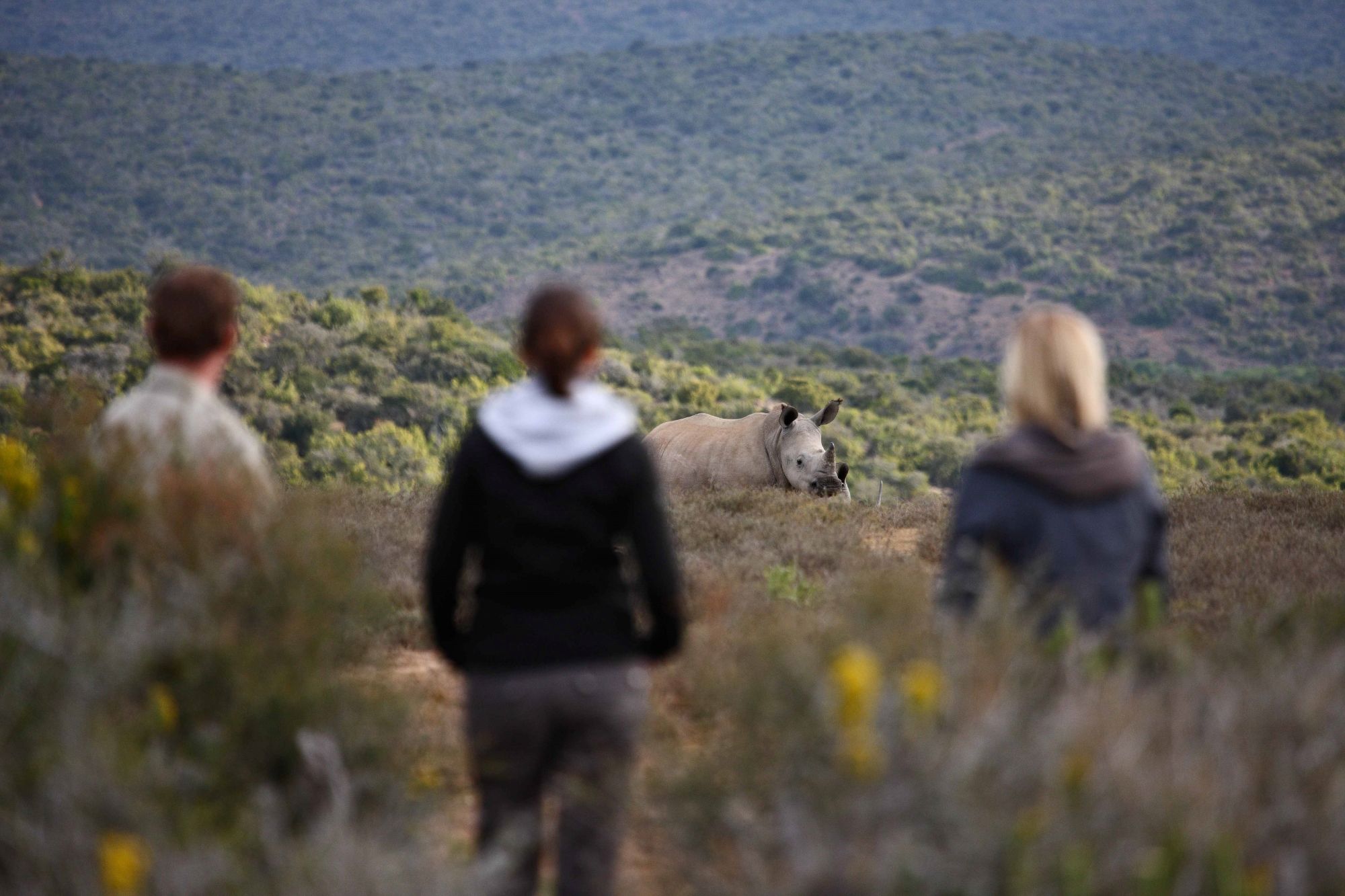 How a Kwandwe Safari Changes Lives