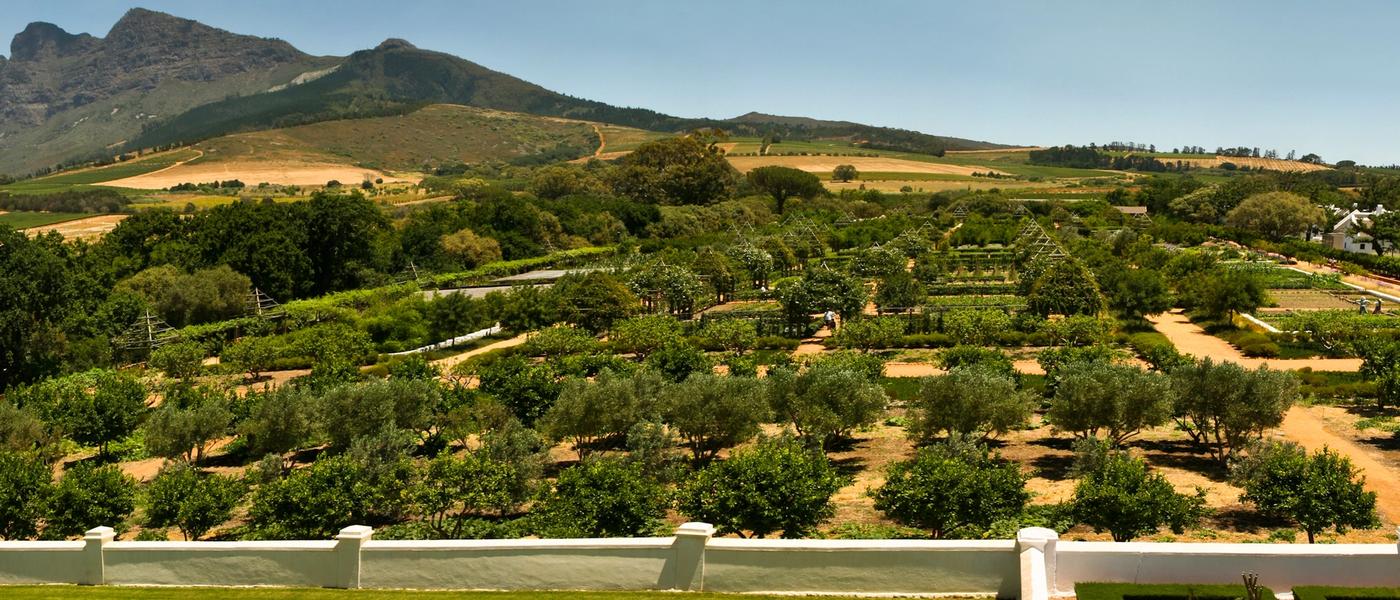 Unsere Urlaubsgeheimtipps | Babylonstoren