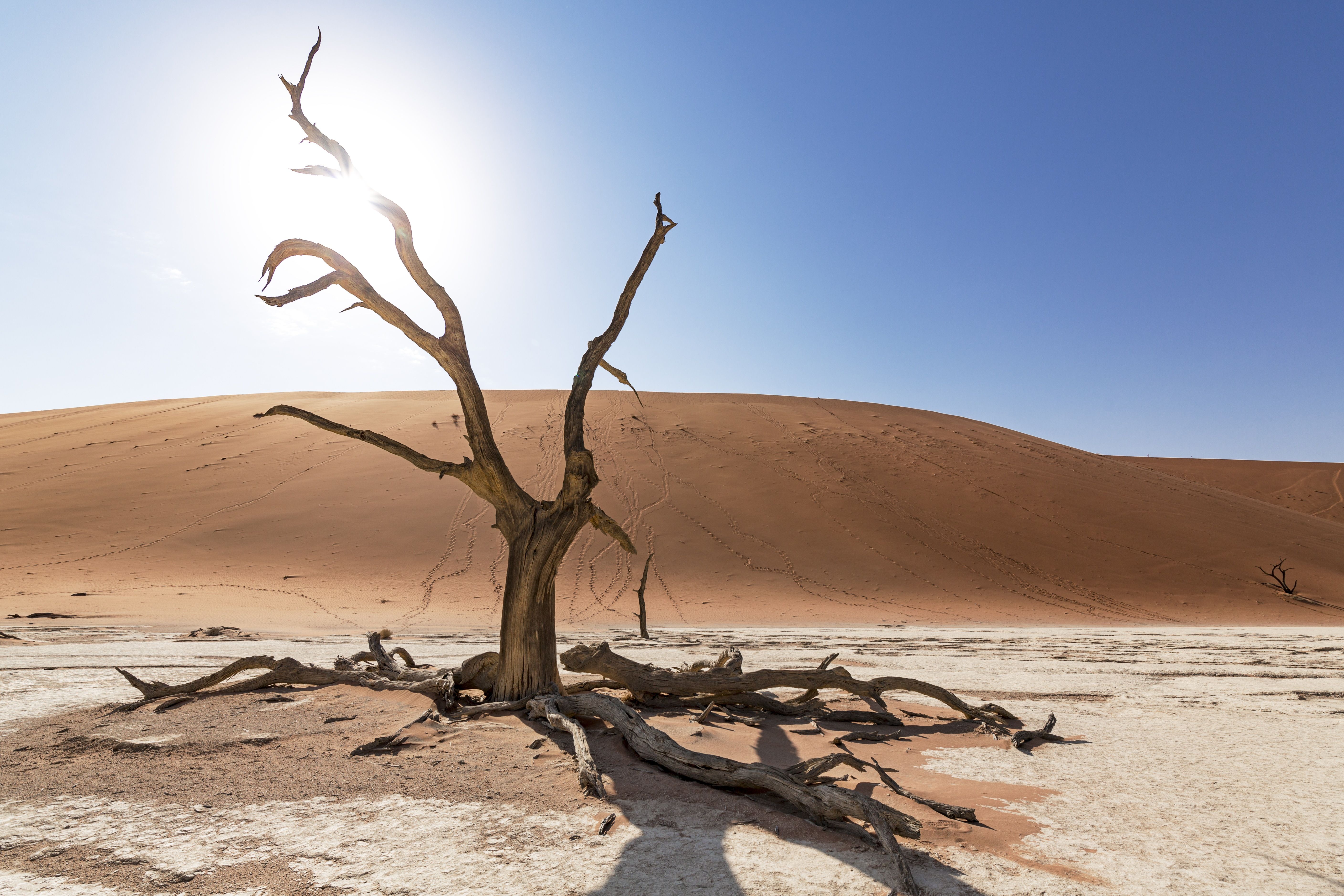 Namibia's Top Travel Destinations