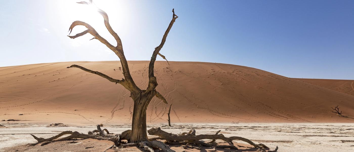 Namibia's Top Travel Destinations