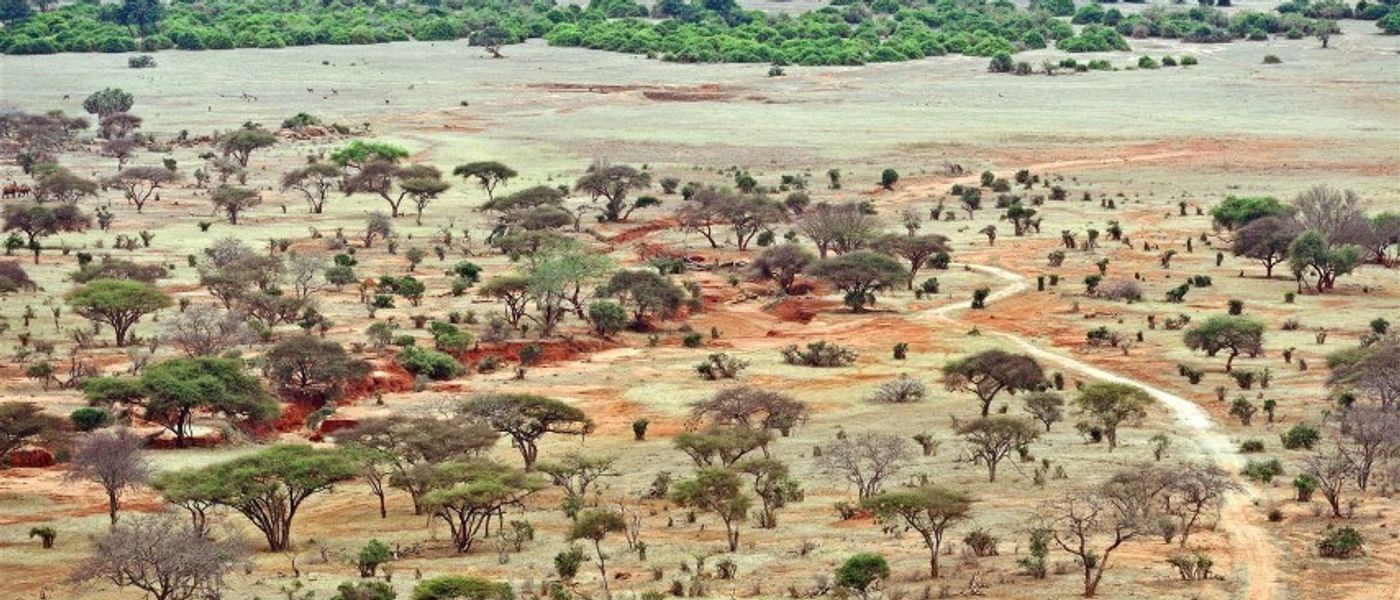 Die schönsten Unterkünfte in Kenia