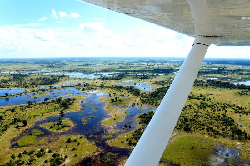 Momento especial: Las inundaciones estacionales regresan al Delta del Okavango