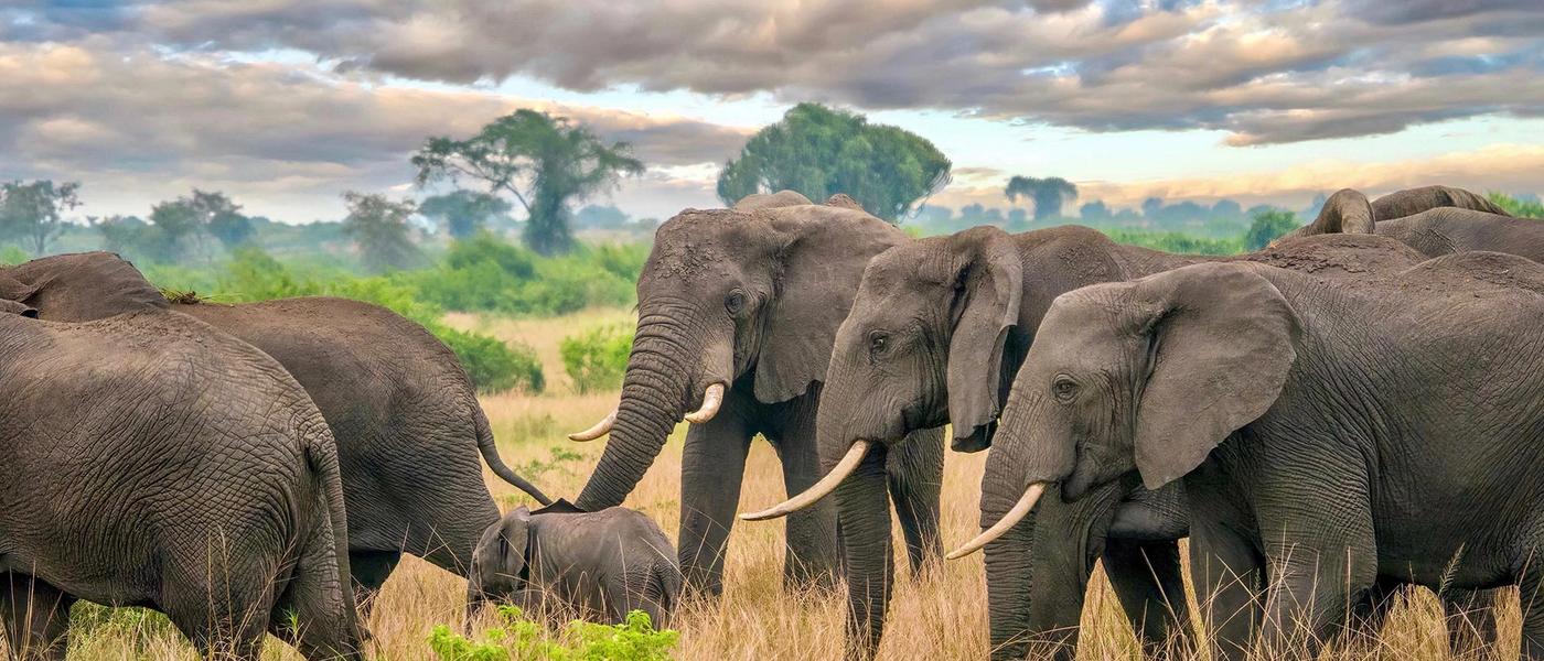 Más que un turista: el impacto de la reina Isabel II en África
