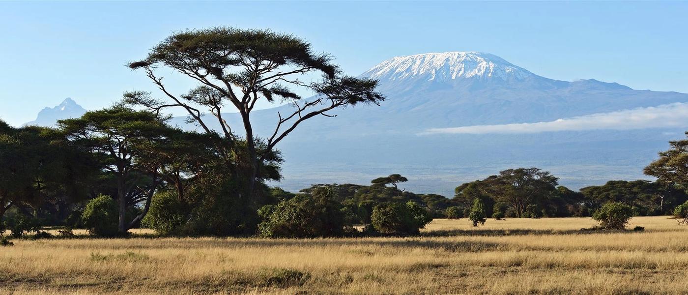 Safari in Ostafrika – darauf dürfen Sie sich freuen