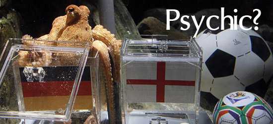 Paul the Octopus