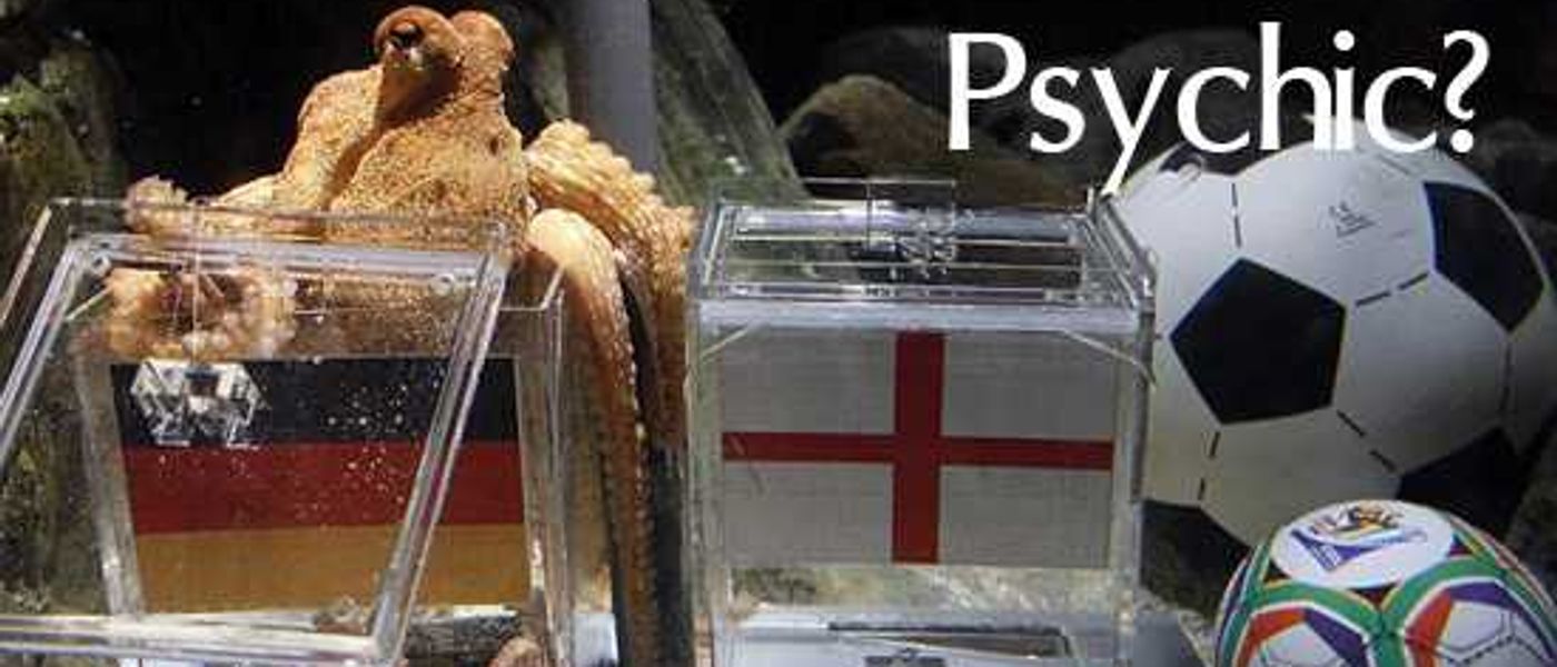 Paul the Octopus