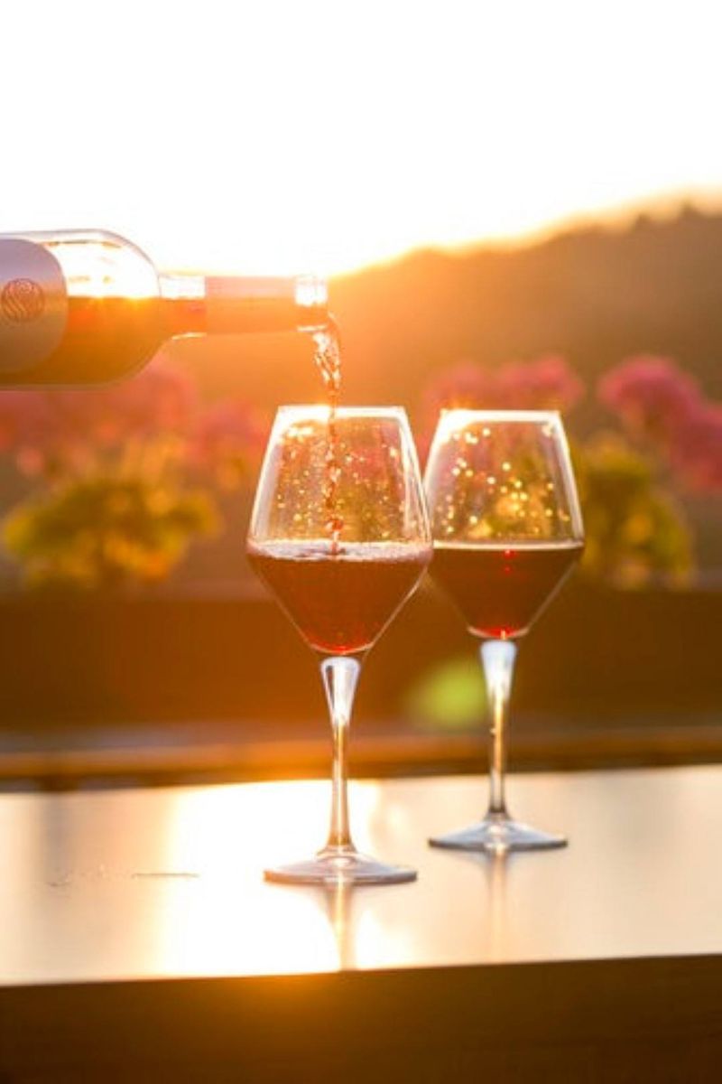 Weingläser im Sonnenlicht, Weinprobe im Kapweinland