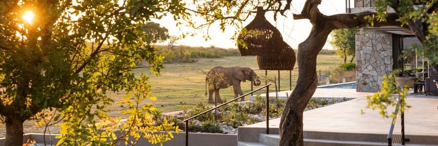 Top 10 des Lodges de Safari de Luxe en Afrique du Sud à Visiter en 2025