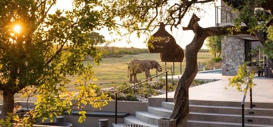 Top 10 des Lodges de Safari de Luxe en Afrique du Sud à Visiter en 2025