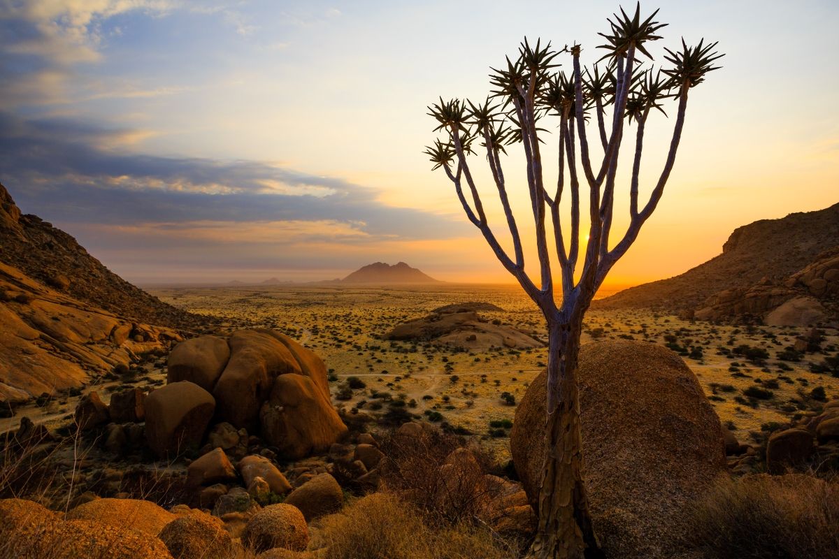 Ultimative Selbstfahrer-Rundreise durch Namibia