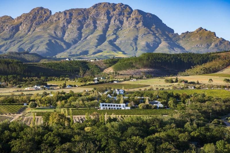 A lush green valley with vineyards and white Cape Dutch buildings, framed by towering mountains under a clear blue sky