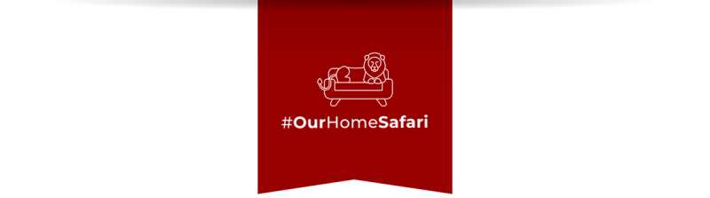 Rhino Africa: Our Home Safari - Bringing Africa to your home