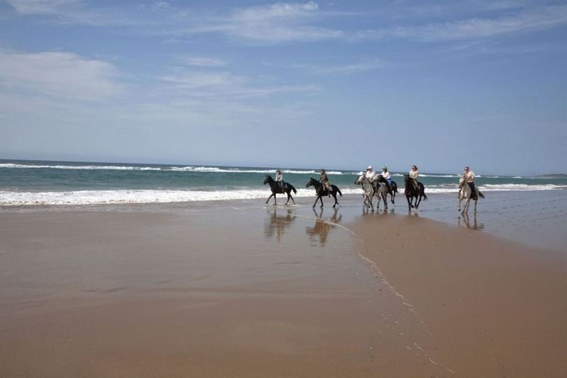 Fünf Reiter auf Pferden gehen über einen Strand in Durban, dahinter das Meer
