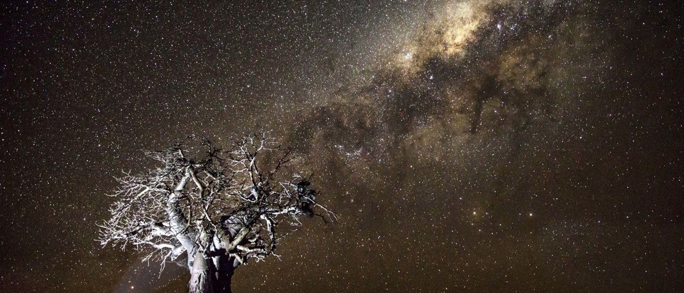 Tricks für das perfekte Smartphone-Foto auf Safari