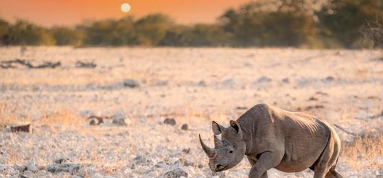 Top 9 Reiseziele in Namibia