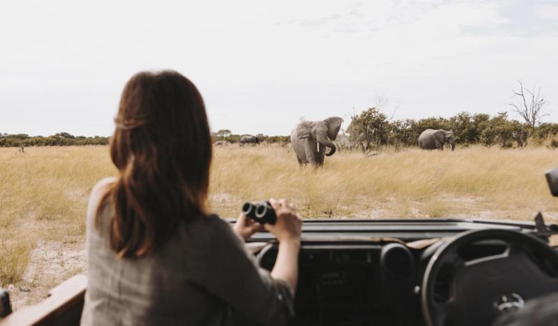 A traveller watches a herd of elephants from a safari vehicle, capturing a manifesto experience shaped by stillness and open space.