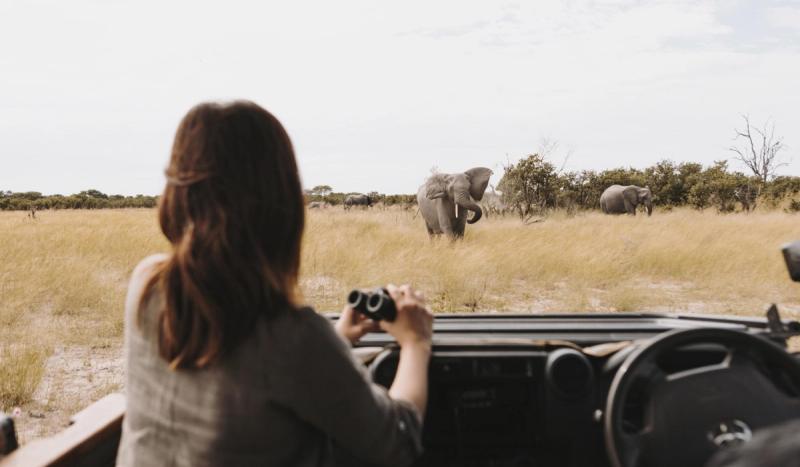 A traveller watches a herd of elephants from a safari vehicle, capturing a manifesto experience shaped by stillness and open space.