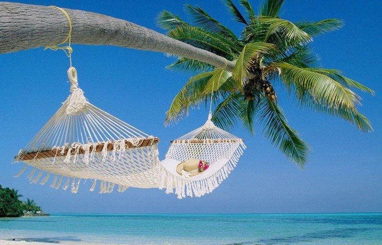 Duo gagnant : Safari et plage de sable blanc