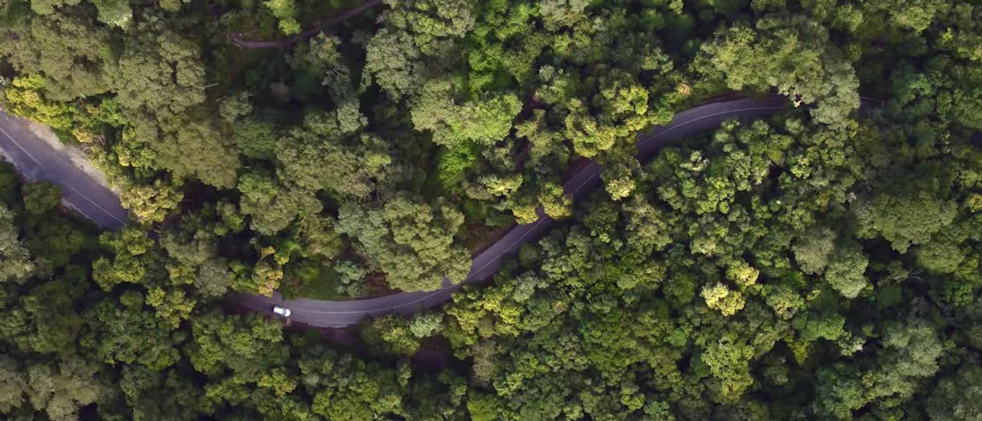 9 Things To Do in the Garden Route This Winter