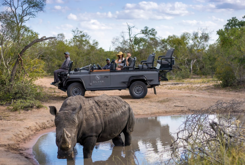 Big 5 sighting in the Sabi Sand Game Reserve