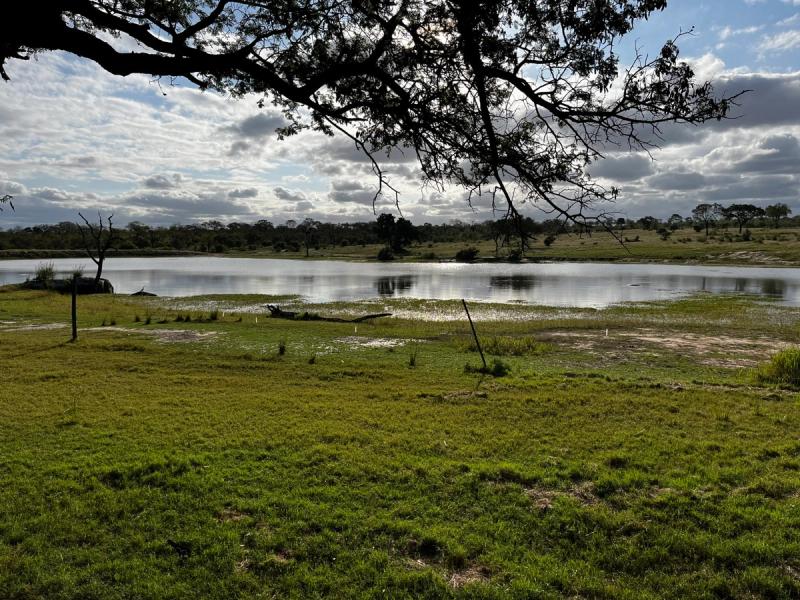 The view of the Sabi Sand's largest lake from lake-side lodge, Chitwa Chitwa