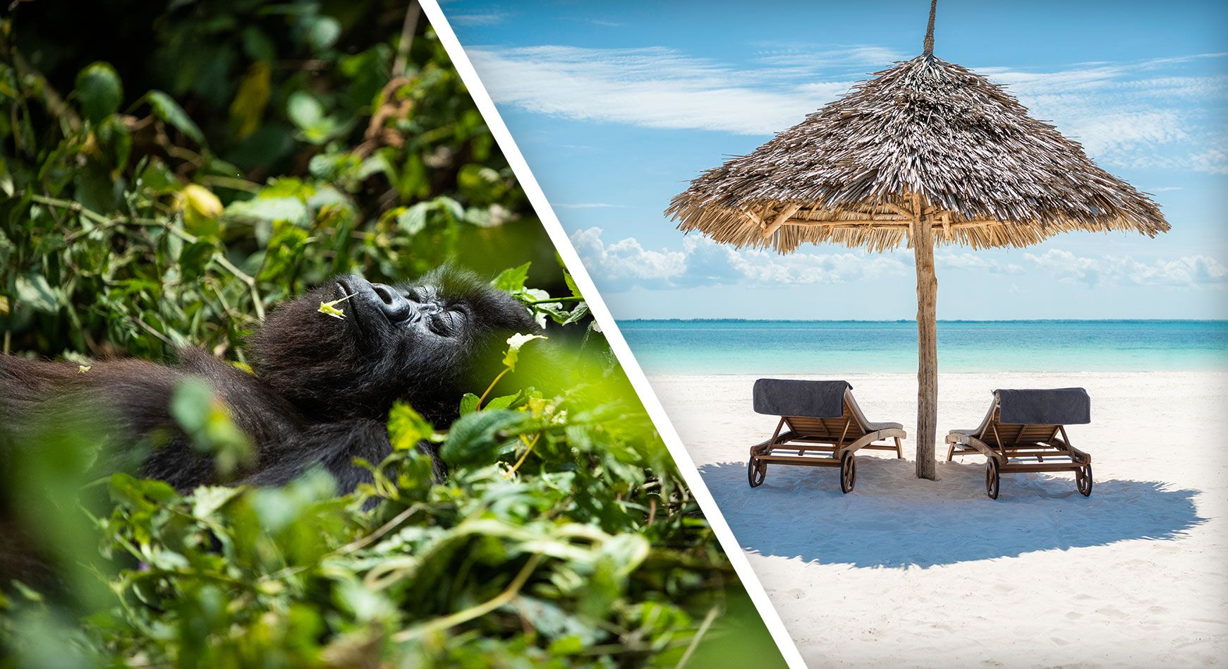 Boots to Barefoot: Jungle and Ocean Safaris in Africa