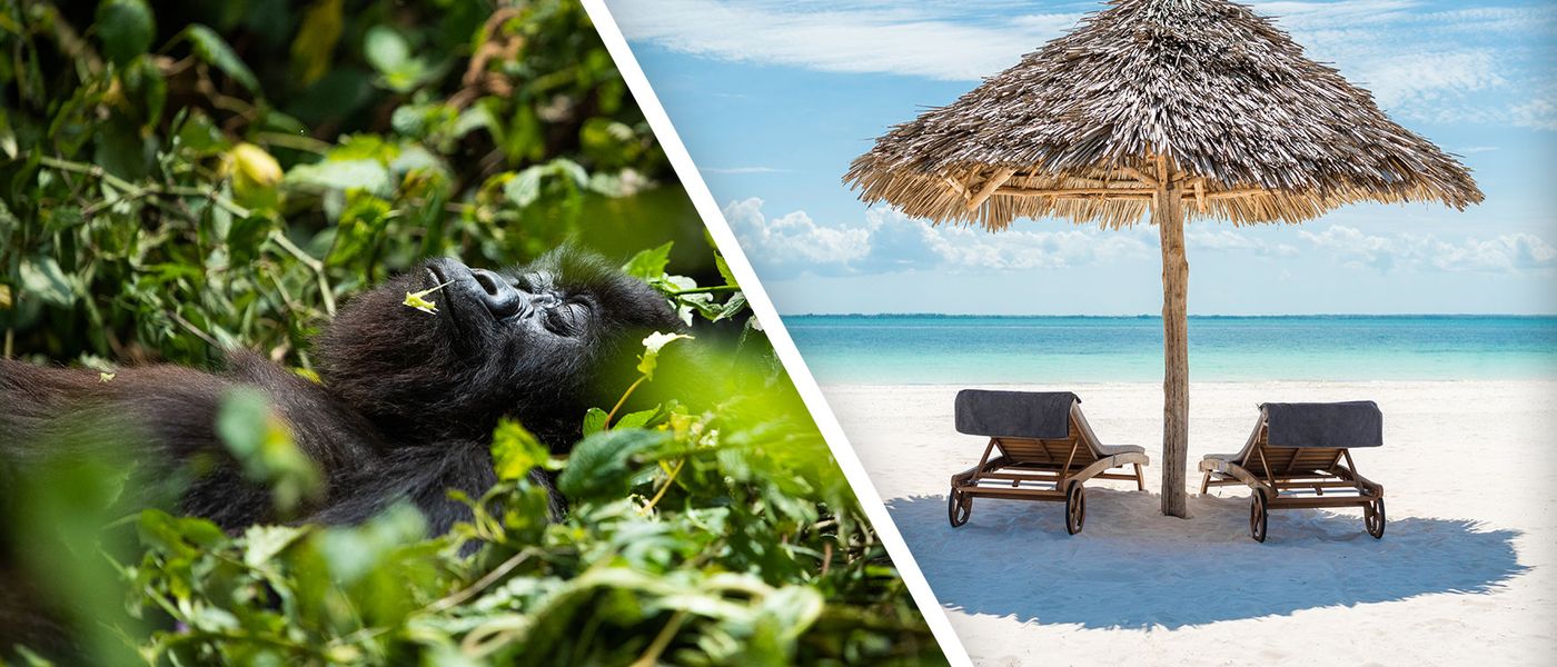 Boots to Barefoot: Jungle and Ocean Safaris in Africa