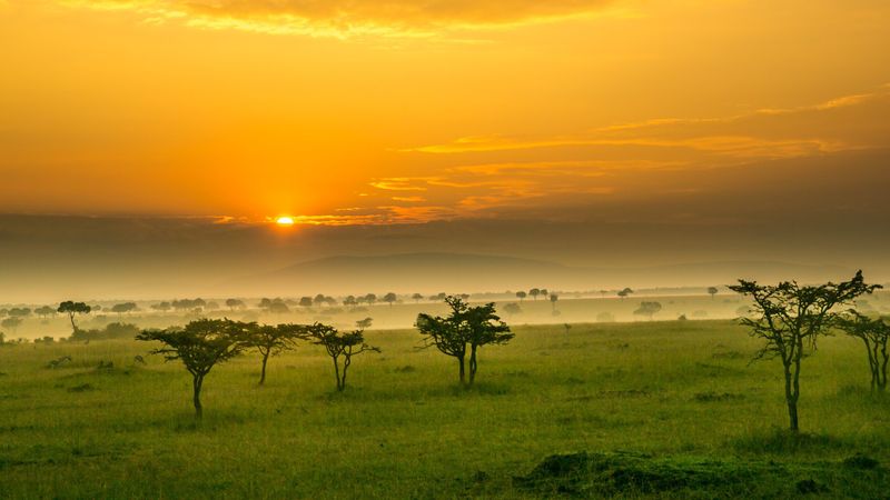 City and safari tours in Kenya