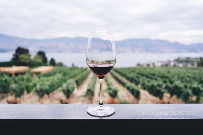 La Route des vins en Afrique du Sud | Vous reprendrez bien un verre ?