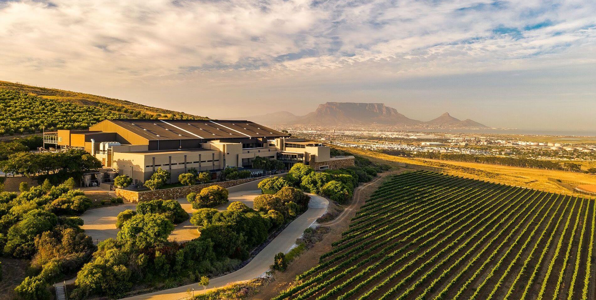 Introducing Cape Town's Wineland Wonders Guide