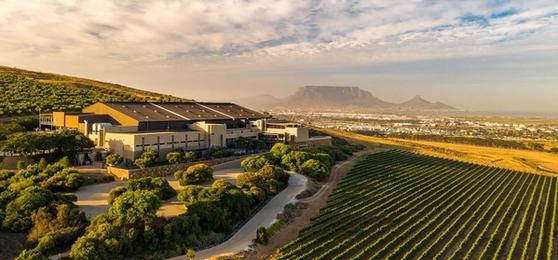 Découvrez les Merveilles des Vignobles du Cap