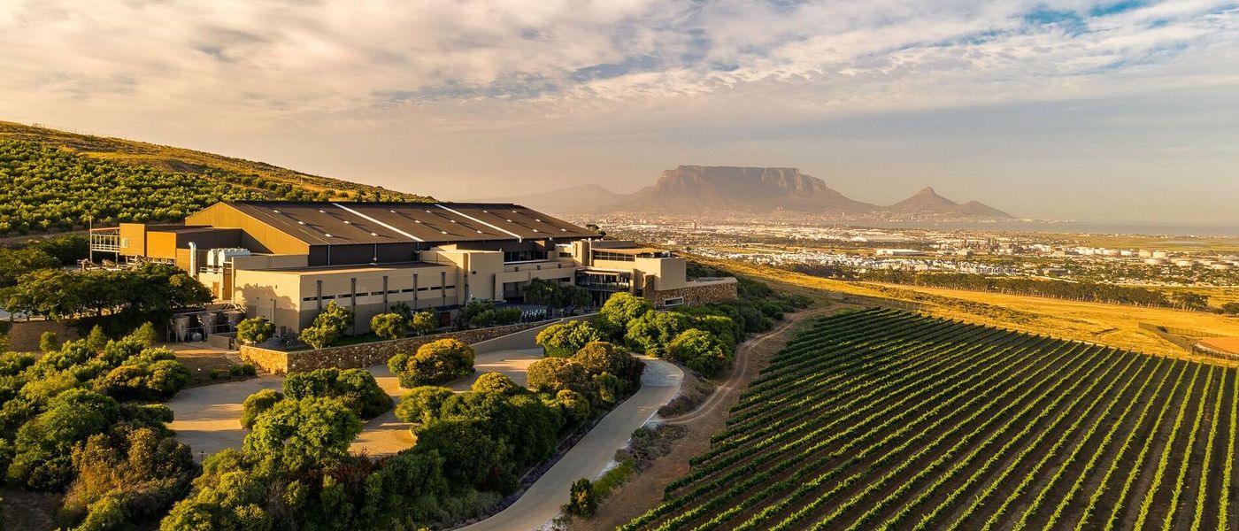 Introducing Cape Town's Wineland Wonders Guide