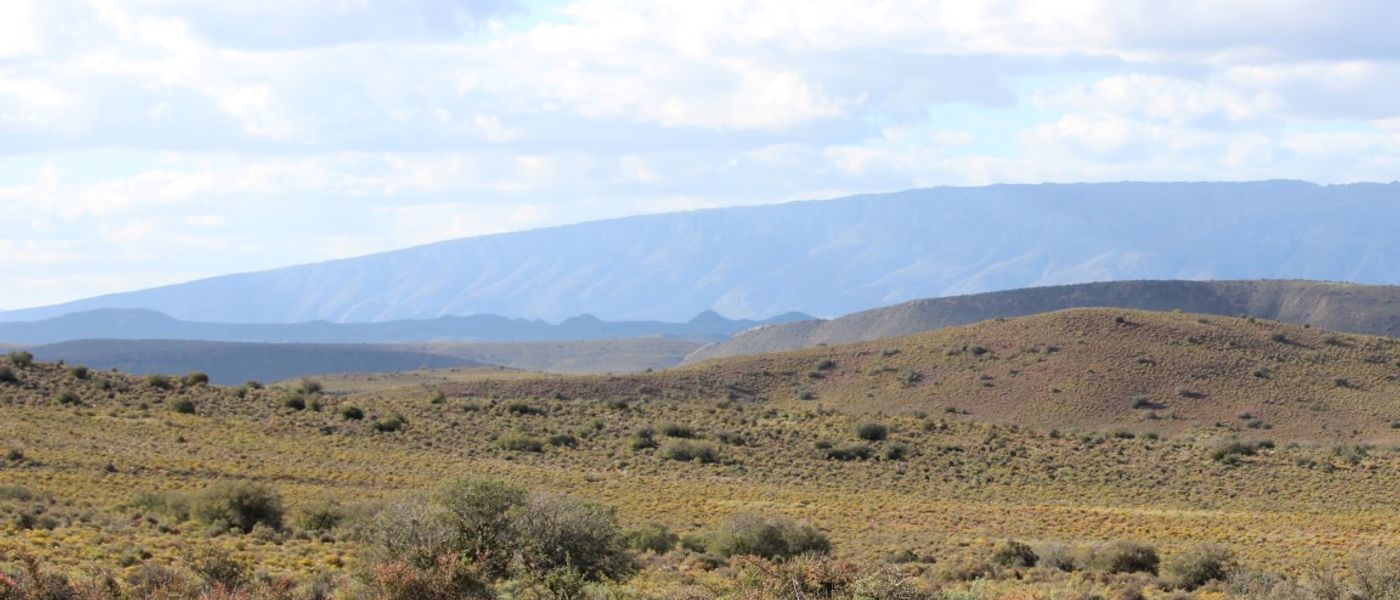 Safari im Sanbona Wildlife Reserve | Review 2022