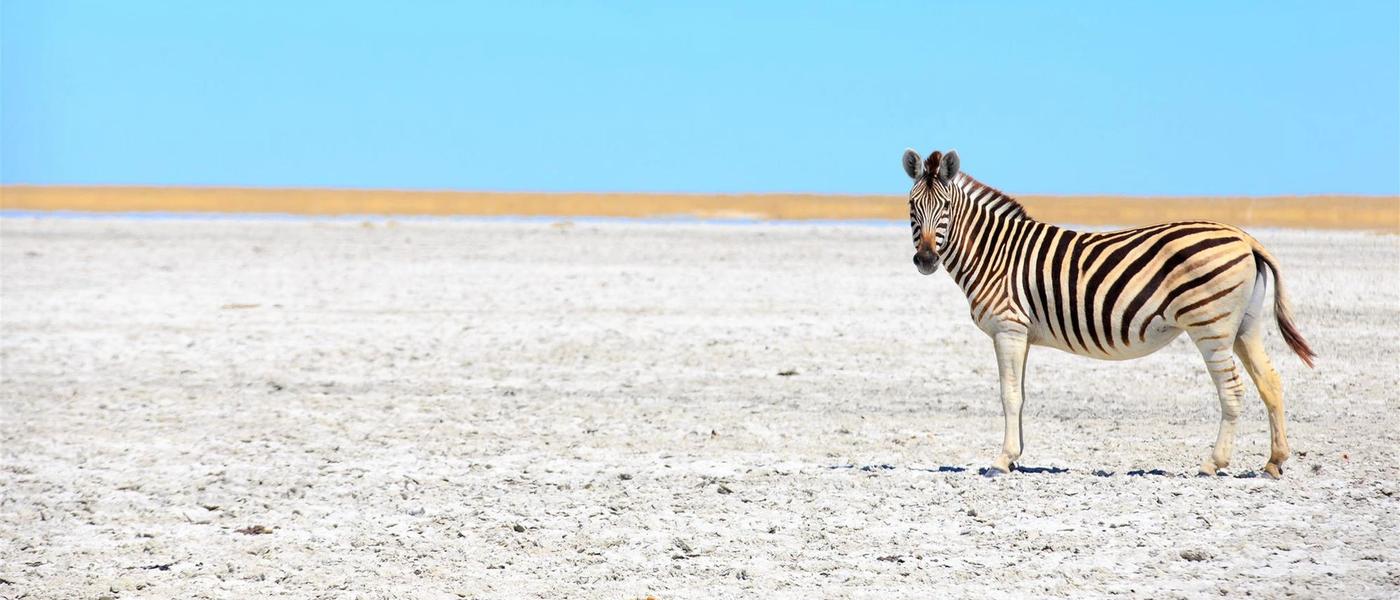 5 Gründe, in die Kalahari zu reisen