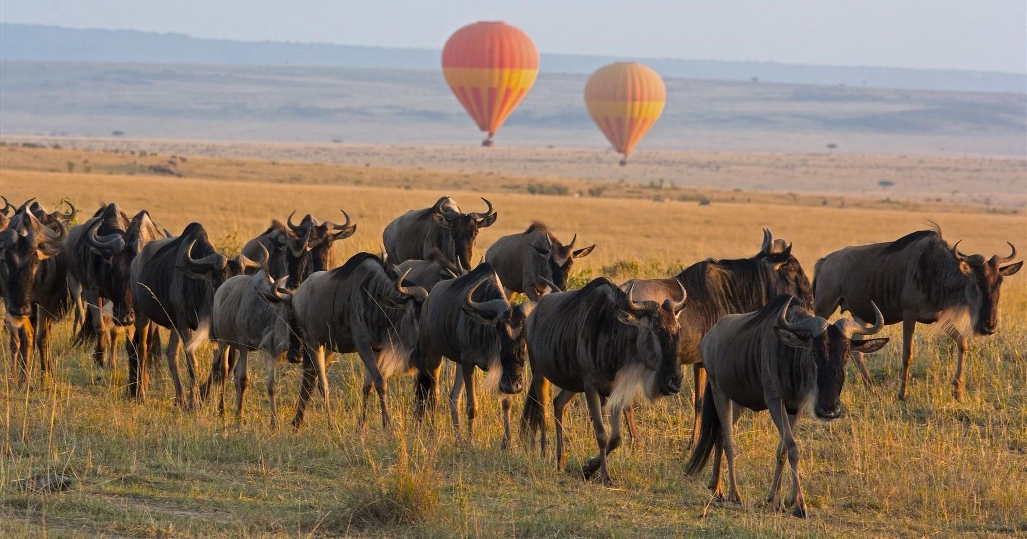 10 Reasons to Visit Kenya