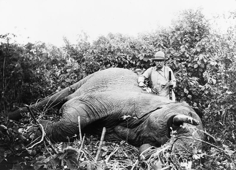 El presidente Roosevelt posando junto a un elefante durante un safari