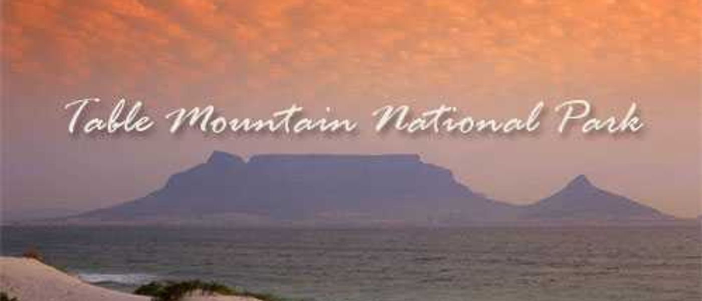 Experience the wonders of Table Mountain National Park