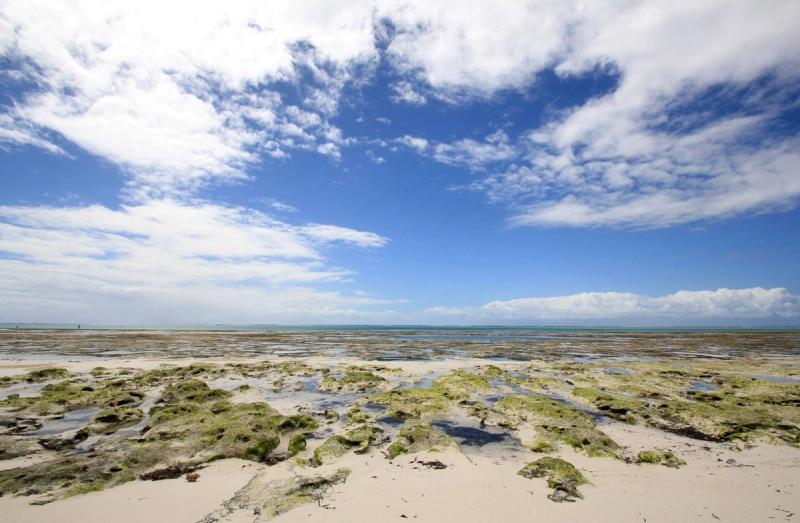 Plage de sable blanc, Pingwe, Zanzibar