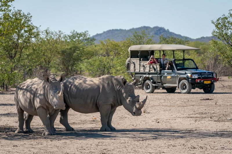Sighting rhinos on an sustainable safari game drive