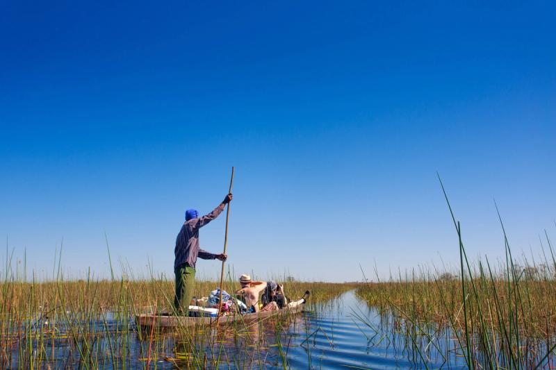 Mokoro trip experiences through reeds in the Okavango Delta