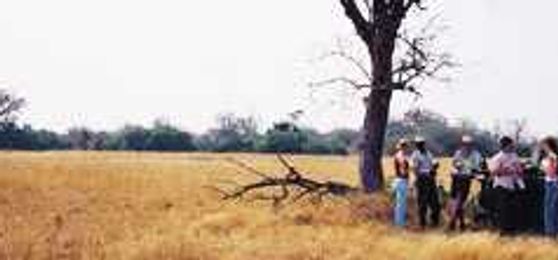 Kruger in the morning, Vic Falls in the afternoon!