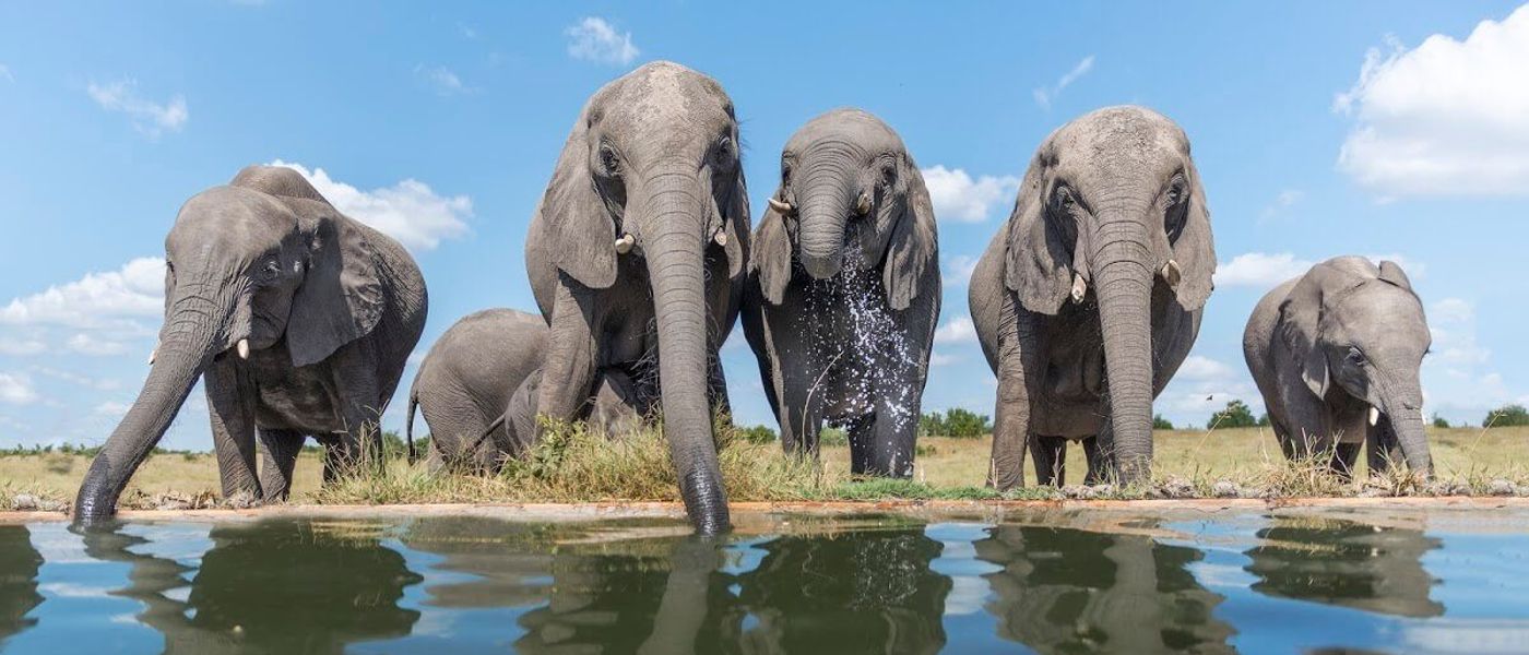 Notre photographe est revenu du Zimbabwe avec ses plus beaux clichés