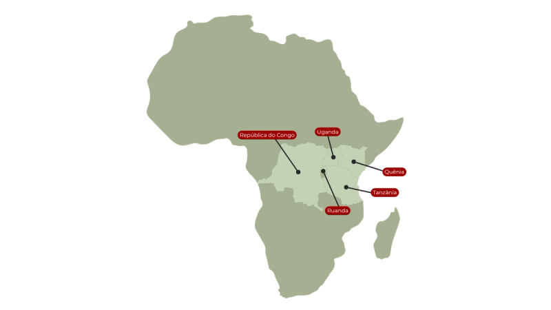 Portuguese map of East Africa