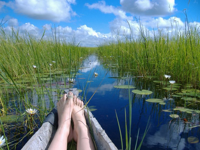 A mokoro trip in Botswana