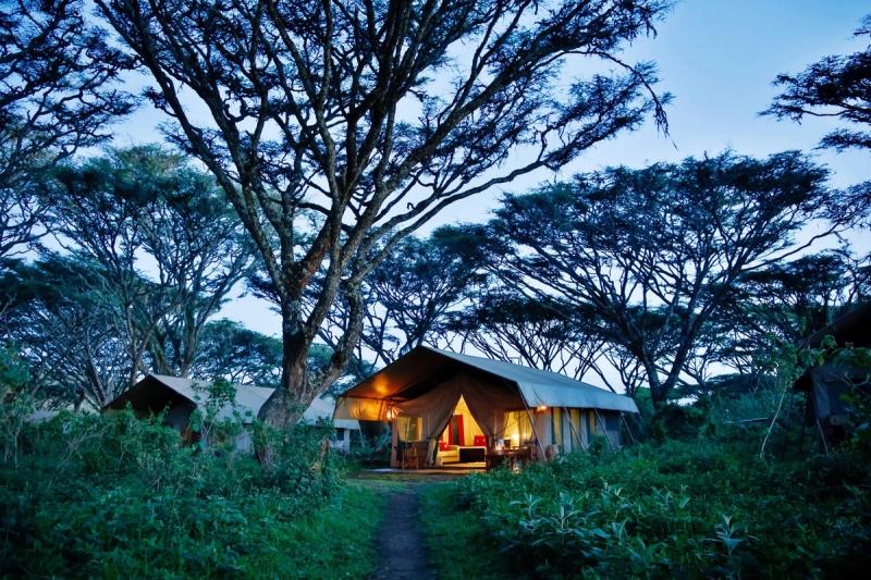 A softly lit canvas tent glows beneath tall acacia trees at dusk, showing the forested intimacy of Luxury safari lodges in Tanzania on the Ngorongoro Crater rim.